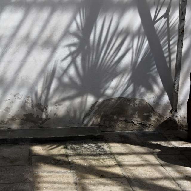 Tom44の美しい写真による天気予報