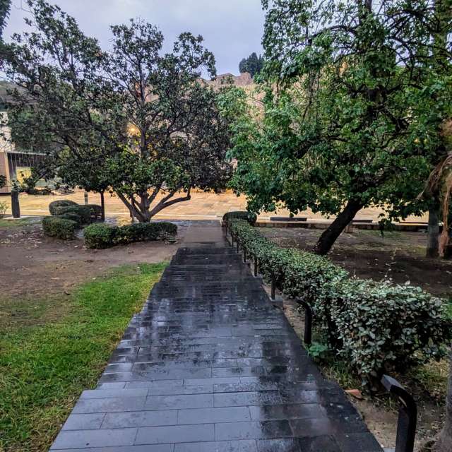Park. Wettervorhersagen mit schönen Fotos von Patán Fotos Málaga