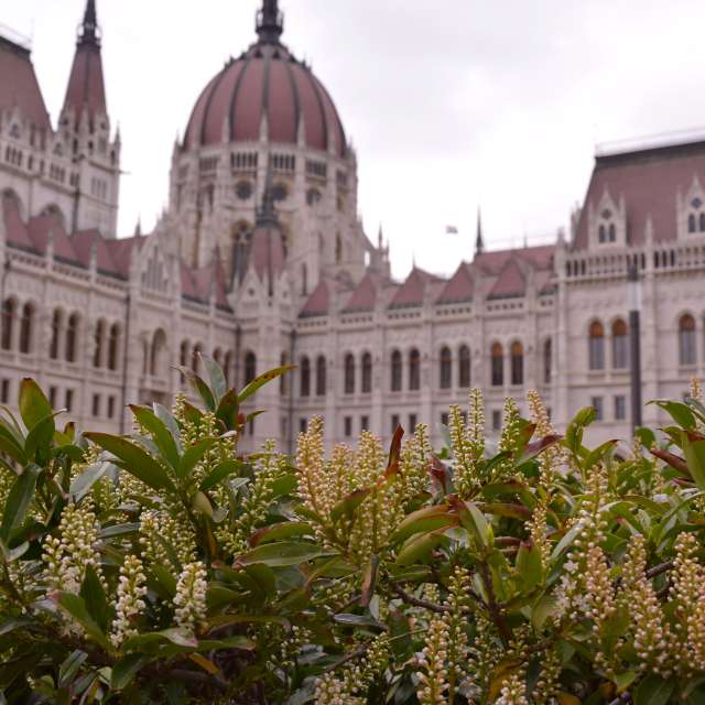 Previsões do tempo com lindas fotos de kriotis