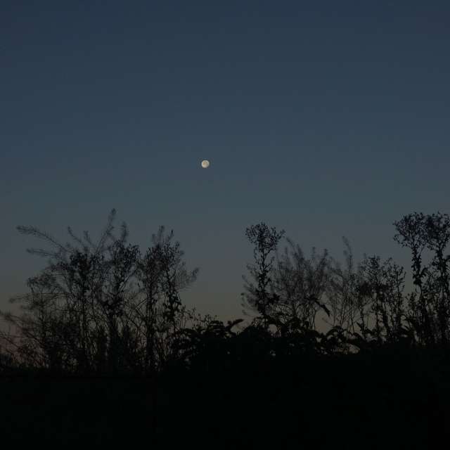 Fotos Plantar. Previsões do tempo com lindas fotos de Vasek325 em Praha 12