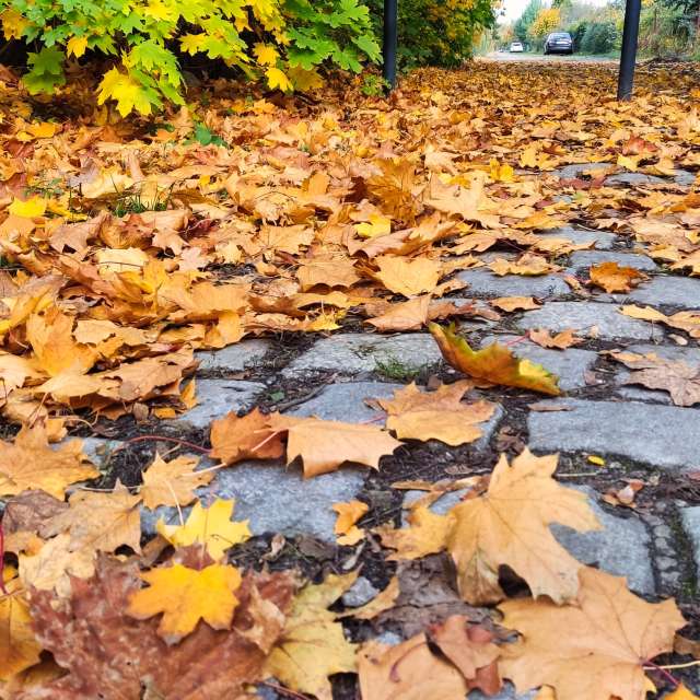 Weather forecasts with beautiful photos by VersusPoint