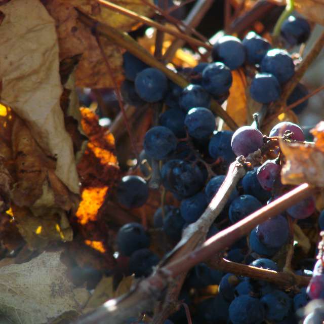 Covered. Weather forecasts with beautiful photos by Михаил Гавриков Photos in Kharkiv