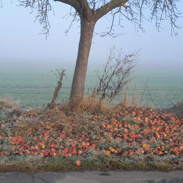 Weather forecasts with beautiful photos by Ute-Eleonore