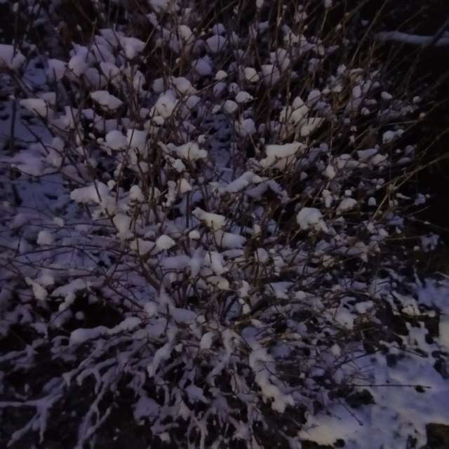 Pronósticos del tiempo con hermosas fotos de Kiki248