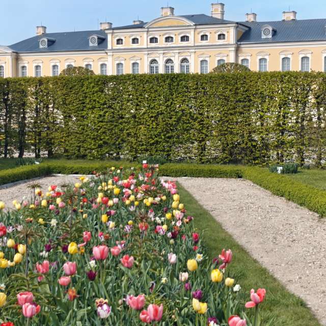 Previsões do tempo com lindas fotos de newgen