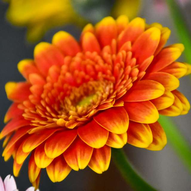 Weather forecasts with beautiful photos by 1stEyeFocused