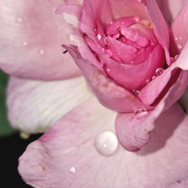 Rain. Weather forecasts with beautiful photos by Wen-ya Huang Photos in Kaohsiung City