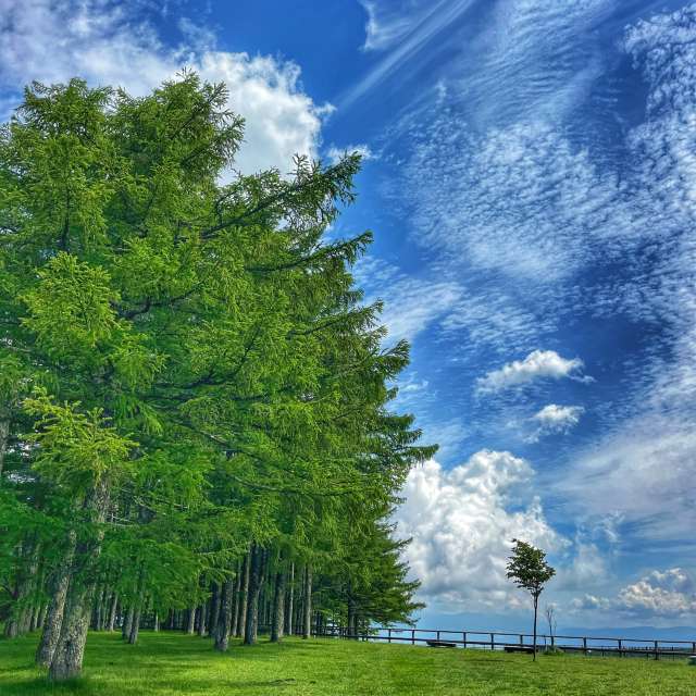 Weather forecasts with beautiful photos by Kasumisou