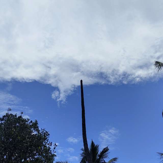 Previsões do tempo com lindas fotos de Vimal_Ram_S