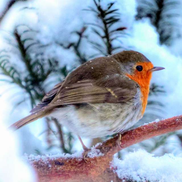 Weather forecasts with beautiful photos by Lotti5507