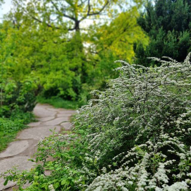 Weather forecasts with beautiful photos by Beorn