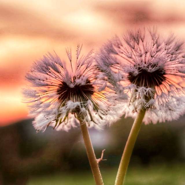 Wettervorhersagen mit schönen Fotos von Lotti5507