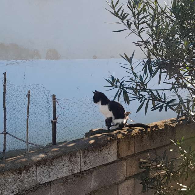 天气预报，带Soheilpmi精美的照片