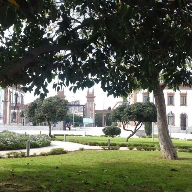 Large. Weather forecasts with beautiful photos by Gatt Photos in Málaga