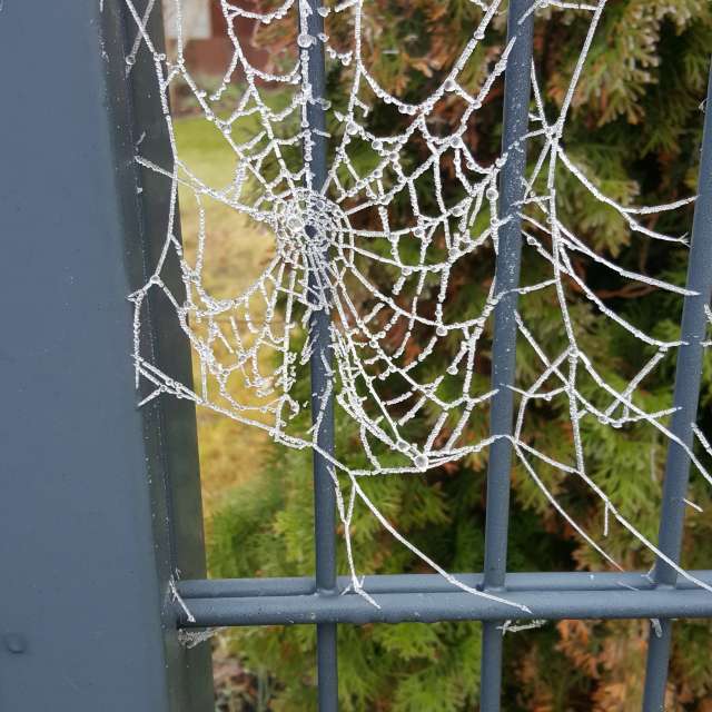 Enclosure. Weather forecasts with beautiful photos by Kiki248 Photos in World