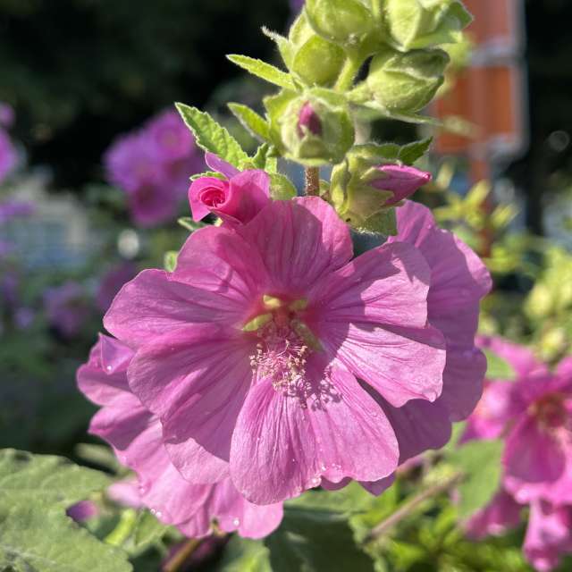 Weather forecasts with beautiful photos by grasielacf