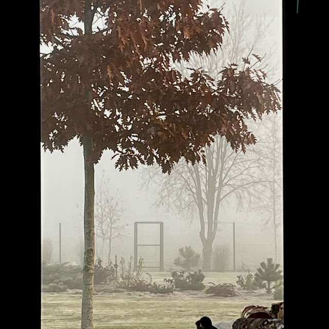 Photos Personnes. Prévisions météo avec de superbes photos de Stassy de Teshkovo
