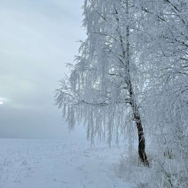 AlmaGenute53の美しい写真による天気予報
