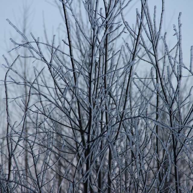 Weather forecasts with beautiful photos by urubu