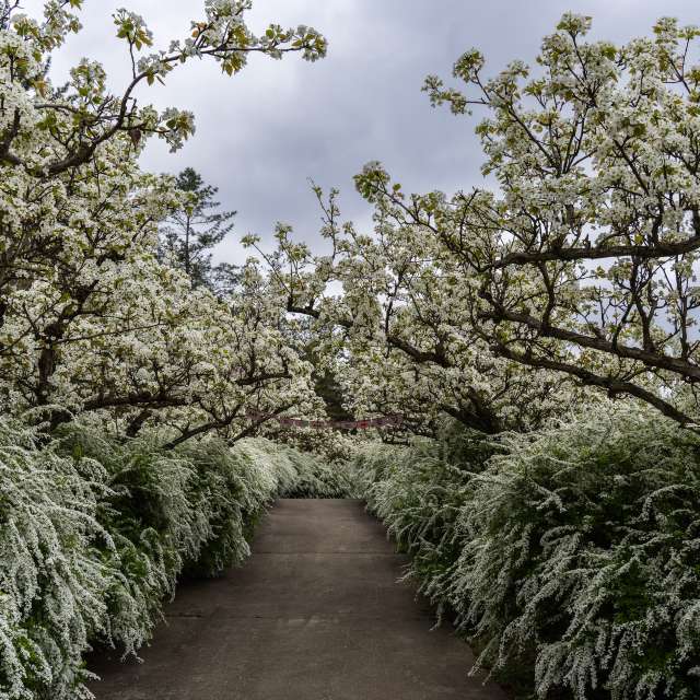 Weather forecasts with beautiful photos by yunyangsu