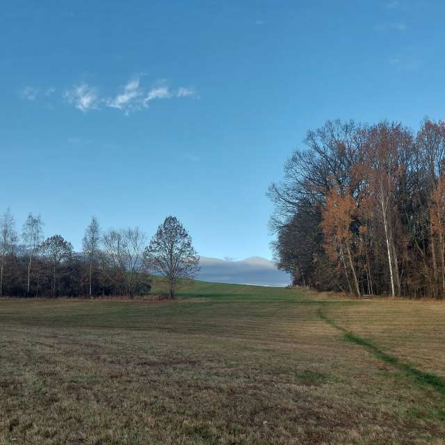 Previsões do tempo com lindas fotos de MaLou