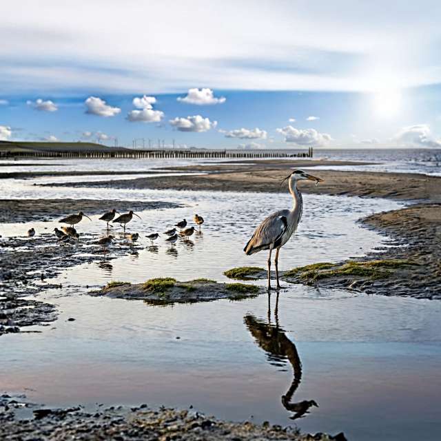 Prévisions météo avec de superbes photos de Kasalinde