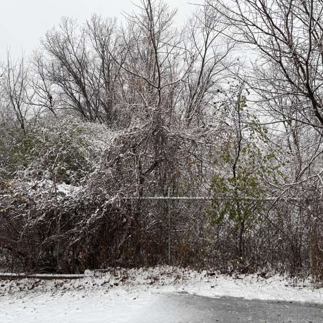 Covered. Weather forecasts with beautiful photos by Skyla Luther Photos in World