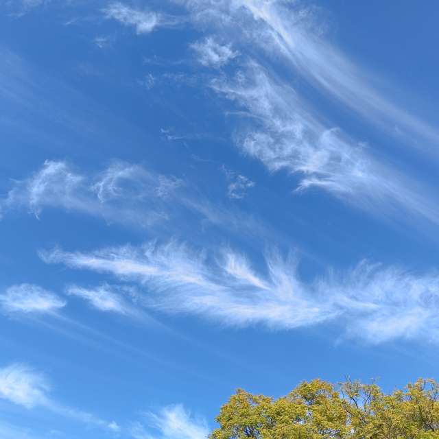 Teriの美しい写真による天気予報