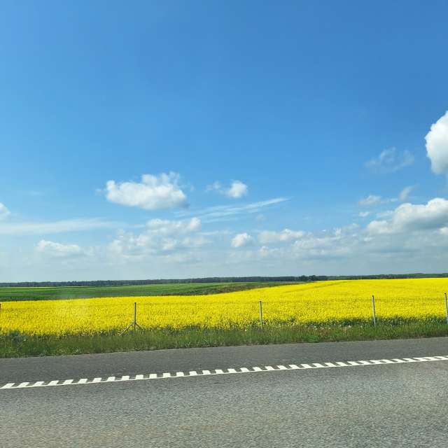 Landscape. Wettervorhersagen mit schönen Fotos von NaturePhotographer2 Fotos Litauen