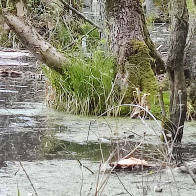 Прогнозы погоды с чудесными фотографиями, сделанными Karsten Wo