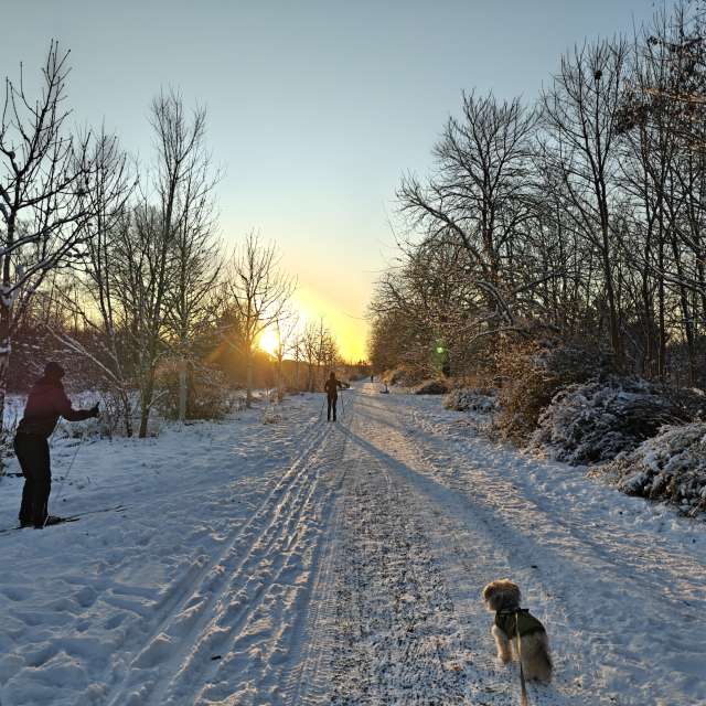RoDi-zignの美しい写真による天気予報