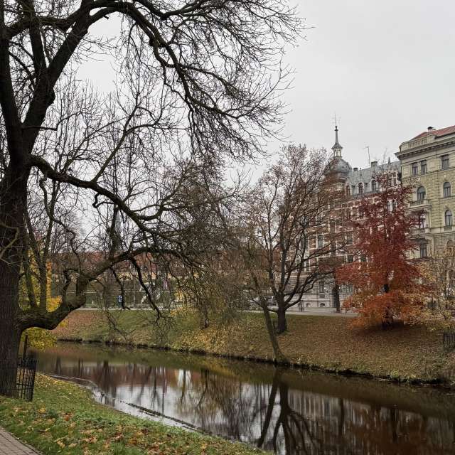 Weather forecasts with beautiful photos by Svet-Lana