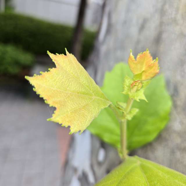 Prévisions météo avec de superbes photos de Jessica_A