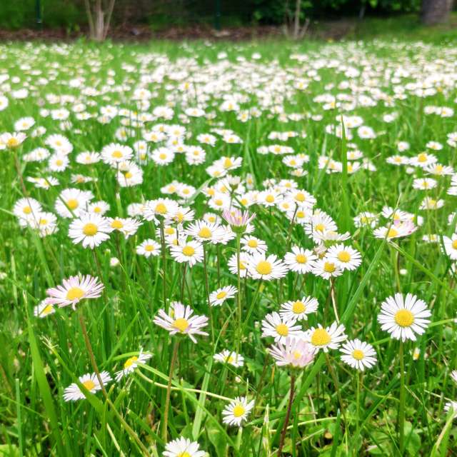 天气预报，带newgen精美的照片