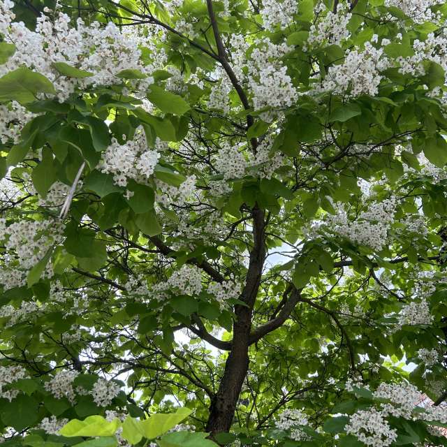 Weather forecasts with beautiful photos by grasielacf