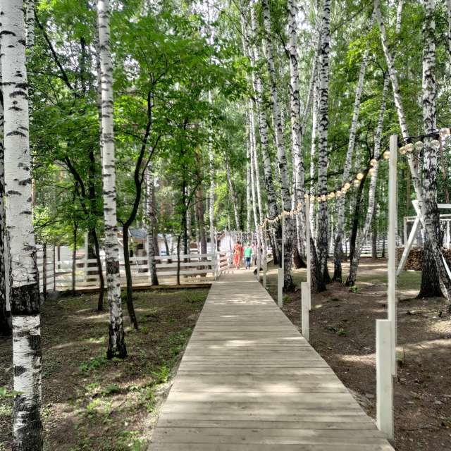 天气预报，带Lara357精美的照片