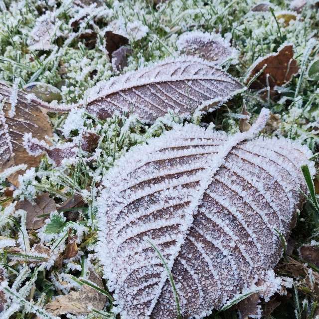 天气预报，带Brtd精美的照片