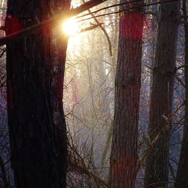 Building. Weather forecasts with beautiful photos by Михаил Гавриков Photos in Kharkiv