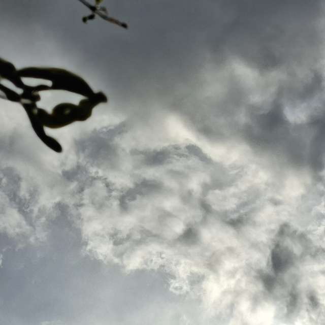 Old. Weather forecasts with beautiful photos by Wen-ya Huang Photos in Kaohsiung City