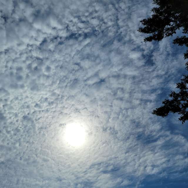 纽约州美国 14天天气预报 雷达 照片 Weawow 纽约州美国 14天天气预报 雷达 照片 Weawow