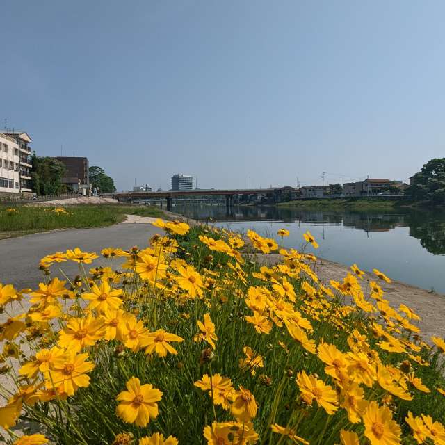 Fotos Frente. Previsões do tempo com lindas fotos de あさのジジ em Okayama