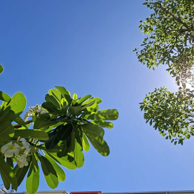 Fotos Cavalgando. Previsões do tempo com lindas fotos de Wen-ya Huang em Kaohsiung City