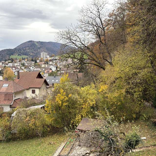 Photos Vieux. Prévisions météo avec de superbes photos de SwissEloi de Delémont