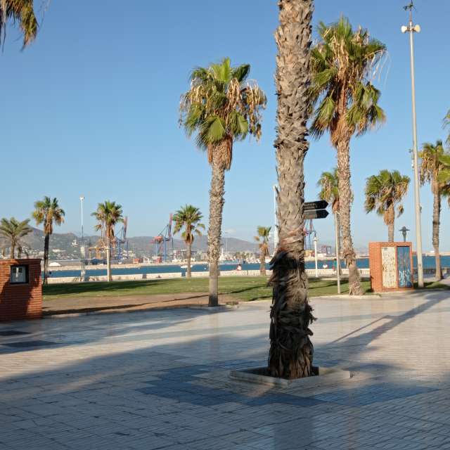 Large. Weather forecasts with beautiful photos by Bernabé Photos in Málaga