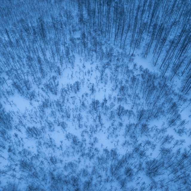 Previsões do tempo com lindas fotos de ooee