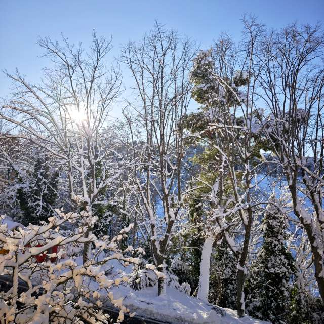 Pronósticos del tiempo con hermosas fotos de Fabri