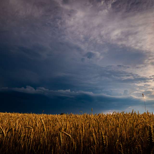 Fotos Clima. Previsões do tempo com lindas fotos de Li-Bro em Kranzberg