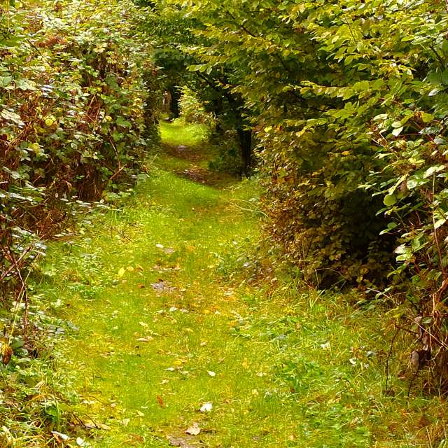 Old. Weather forecasts with beautiful photos by Seni Photos in Velbert