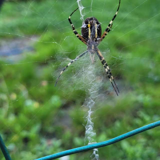 Pronósticos del tiempo con hermosas fotos de Tinch85
