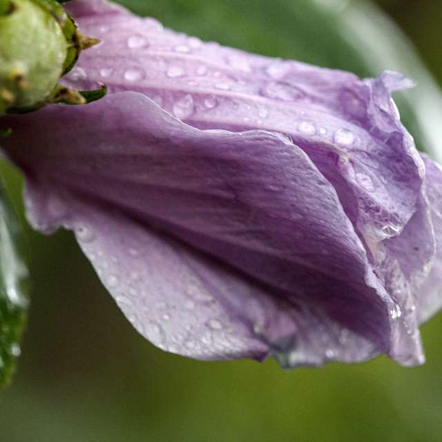 Fotos sobre el clima en . Pronósticos del tiempo con hermosas fotos de krantzjh